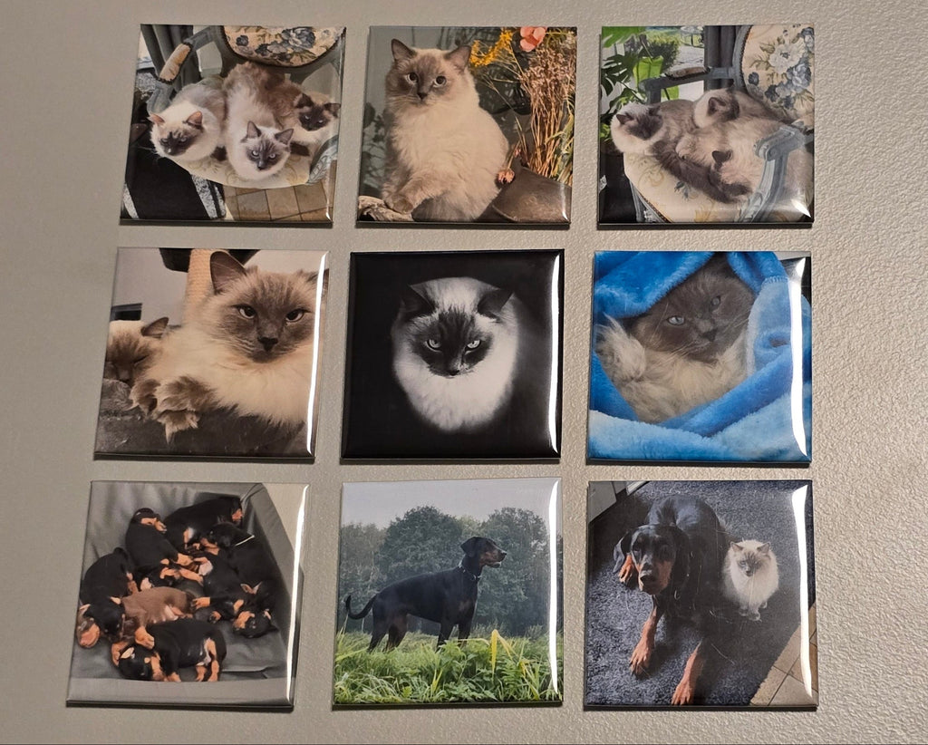 Square photo magnet, 50 × 50 mm