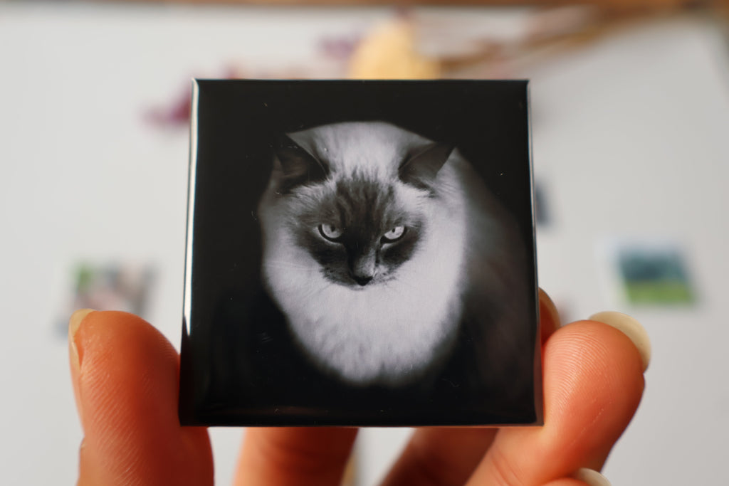 Square photo magnet, 50 × 50 mm
